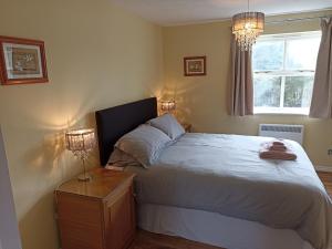 a bedroom with a bed with two lamps and a window at Grant Close in Wickford