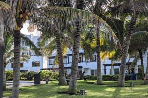 un grupo de palmeras frente a un edificio en El Muelle, Hermoso y cómodo apartamento, en Monterrico
