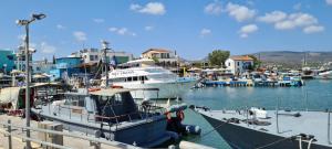 a group of boats docked in a harbor at Latchi Area Apartments in Lachi