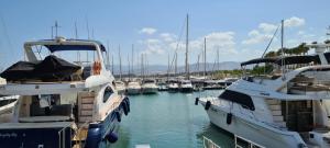 a bunch of boats docked in a harbor at Latchi Area Apartments in Lachi