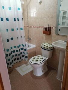 La salle de bains est pourvue de toilettes, d'une douche et d'un lavabo. dans l'établissement Cabañas Robinson, à Puerto Puyuhuapi