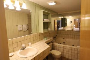 Salle de bains dans l'établissement Inns Of Wv 106, 1bd, Waterville Valley