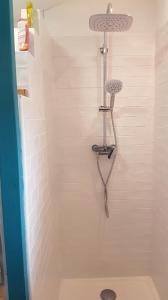 a shower with a toilet in a bathroom at Roulotte Framboise in Vaux-en Couhé