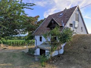 una pequeña casa blanca con techo marrón en Kisház a szőlőhegyen en Balatonakali