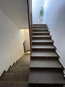 Galería fotográfica de Apartmani Gacic- Sabac en Šabac