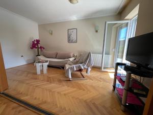 a living room with a couch and a tv at Apartmani Gacic- Sabac in Šabac