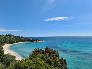 an aerial view of a beach with trees and the ocean at Residence Canella in Sari Solenzara