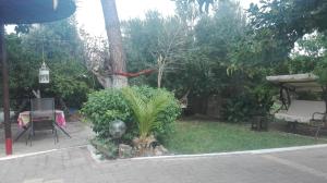 Zahrada ubytování Panos and Chrisas House