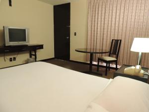 TV a/nebo společenská místnost v ubytování Hotel Lizbeth