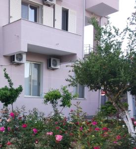 Gallery image of Olive B&B in Berat