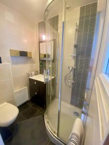 a bathroom with a shower and a toilet and a sink at Le Petit Logis - Vue Mer in Granville +9 photos