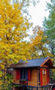 a small cabin with yellow trees in the background at Lovely vacation house at river Tisza , Hangulatos nyaraló a szegedi Tisza - Maros toroknál in Szeged