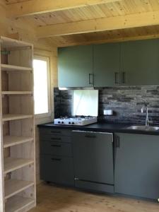 a kitchen with green cabinets and a counter top at Domek the luxe in Šluknov