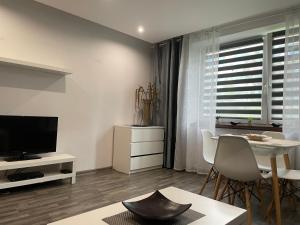 Televízia a/alebo spoločenská miestnosť v ubytovaní Apartament Gospodarcza