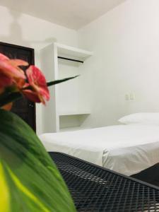 a bedroom with a bed and a red flower at Standard room with two single beds for relaxed stay in Puerto Escondido