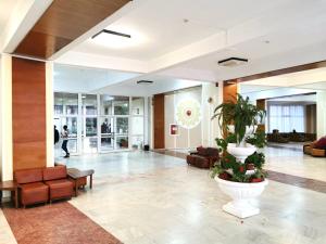 Vstupní hala nebo recepce v ubytování Hotel Muncel Băile Felix + 29 fotografií