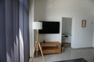 sala de estar con TV de pantalla plana y lámpara en Vorhalle Apartment, en Hagen 9 fotos más