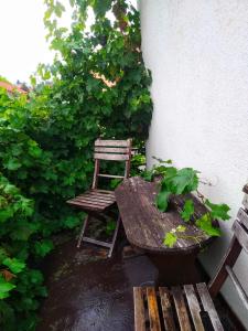 Vonkajšia záhrada v ubytovaní Apartment Telč Hradecka