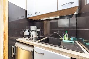 een keuken met een wastafel en een aanrecht bij Backskiste - Studioapartment im Erdgeschoss mit Gartenmitbenutzung in Flensburg