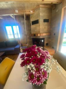 Fotografie z fotogalerie ubytování Luxury Villa HORSE RIVER v destinaci Sekulić 