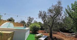 un cortile con un albero e una piscina di terra rossa casa di campagna con piscina a Casarano