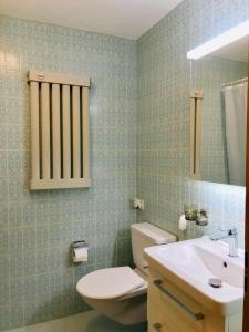 a bathroom with a white toilet and a sink at Centrally Located Apartment in Poschiavo in Poschiavo