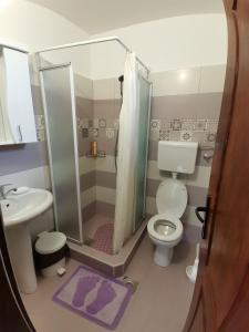 e bagno con doccia, servizi igienici e lavandino. di Apartman Jaredić - Private Accommodation, Privatni Smeštaj a Donji Milanovac