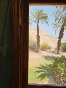 ein Fenster mit Blick auf eine Wüste mit Palmen in der Unterkunft הצימר של יהושע in Ein Gedi