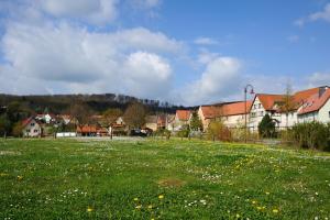 um campo de relva verde com casas e flores em Pension Zum Fäßchen em Naumburg