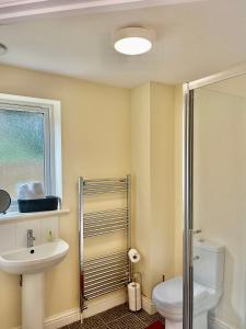 a bathroom with a toilet and a sink and a window at Lt Properties Studio apartment Ground floor 3 in Luton