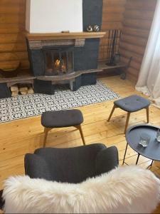 - un salon avec deux chaises et une cheminée dans l'établissement MIRA House, à Vorokhta