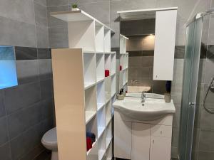 mała łazienka z umywalką i toaletą w obiekcie BNCK Wellness Residence w mieście Sátoraljaújhely +14 zdjęć