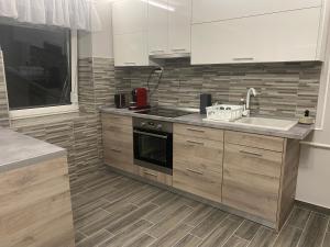 kuchnia ze zlewem i kuchenką górny piekarnik w obiekcie BNCK Wellness Residence w mieście Sátoraljaújhely
