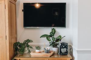 a tv hanging on a wall with plants on a table at Cloves Boutique Bed & Breakfast in Cleethorpes