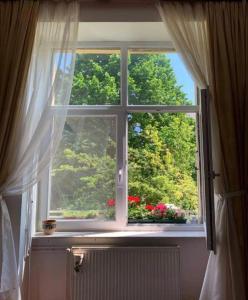 uma janela com vista para flores e árvores em Eliz Apartment em Budapeste