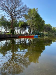 Φυσικό τοπίο κοντά σε αυτό το διαμέρισμα