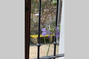 Billede fra billedgalleriet på Pexe na mar i Lastres + 42 billeder