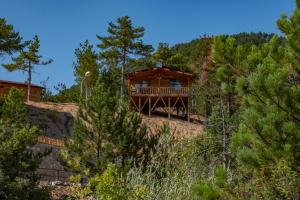 a cabin on the side of a hill with trees at Tahtalı Göl Evleri in Emet