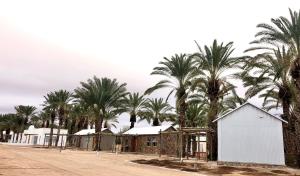 a row of houses and palm trees on a dirt road at Gazelle Estate in Kakamas