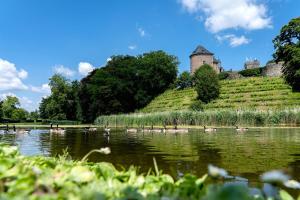 a flock of ducks on a lake in front of a castle at The Box in Sint-Pieters-Leeuw