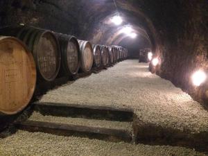 Gallery image of Préselő Pincészet és Vendégház in Erdőbénye