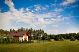 una casa en medio de un campo en Domek letniskowy Nad Stawem, en Lipusz