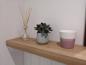 a shelf with two cups and a potted plant on it at The Little House, boutique home near the sea in Chichester