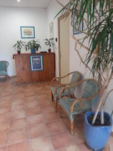 une chambre avec deux chaises et une plante en pot dans l'établissement La grande bleue, à Banyuls-sur-Mer