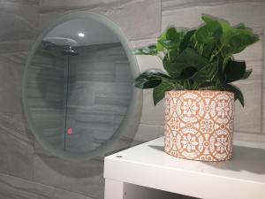 a plant sitting on a table in front of a mirror at Bagshot PennyHill Camberley Ascot Luxury 2 Beds 1 Bath Sleeps 4 Pets OK Permit Parking in Bagshot +20 photos