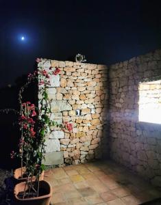 Fotografia z galérie ubytovania Ca n'Antonia Formentera v destinácii Sant Francesc Xavier