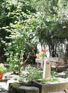 a garden with a wooden bench and a tree at Le Boustrophédon in Antraigues
