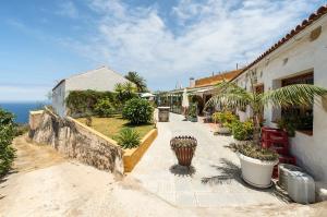 a patio with plants and a building and the ocean at Tenerife Paradise 11 Bungalow - Hotel Rural Fsj in San Juan de la Rambla