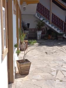 a courtyard with a potted plant in a pot at Pouso do Manu in Tiradentes