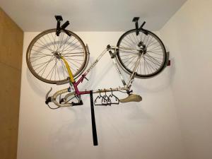 a bike hanging on a wall in a room at Penzion Kolnička in Luka nad Jihlavou